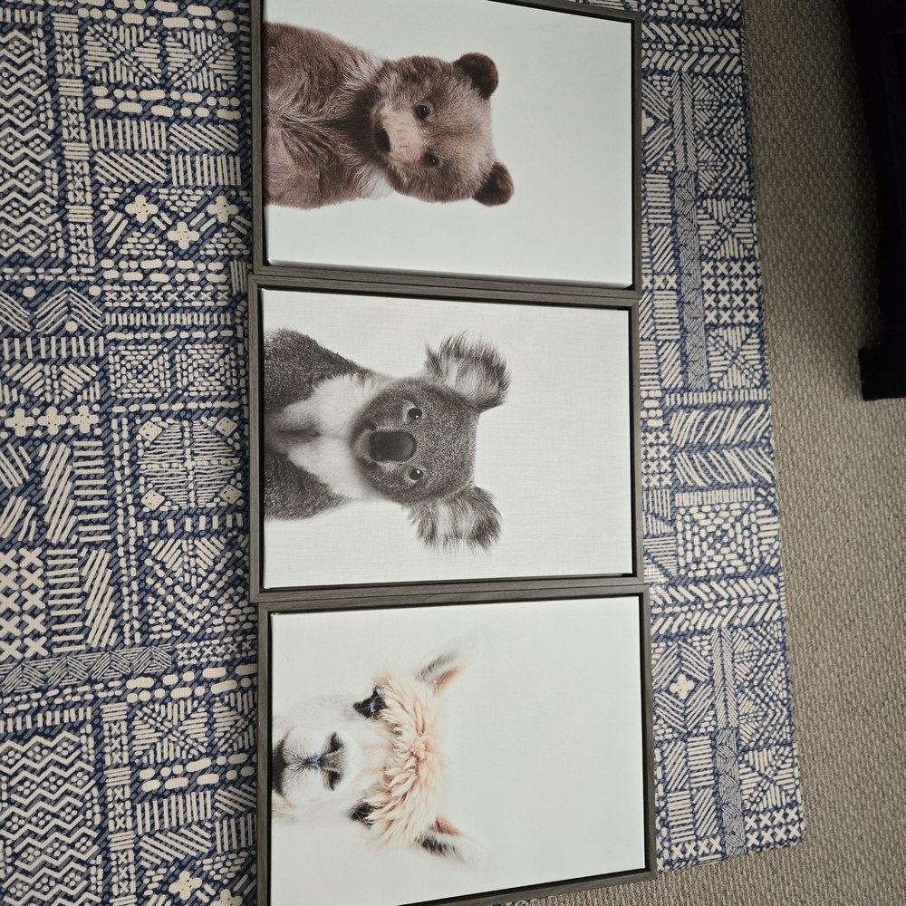 Set of Three Animal Prints Simon TE